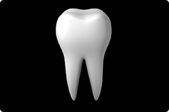 根管治療は土台を守る歯の“基礎工事”